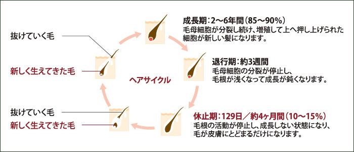 ヘアサイクル