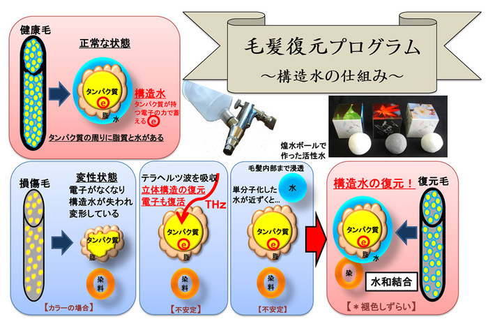 毛髪復元プログラム